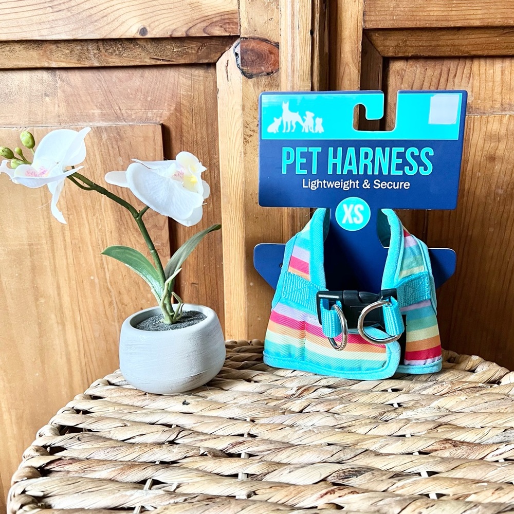 NWT Adorable Rainbow Print Pet Harness Size XS